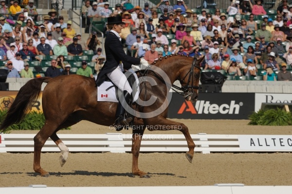 Ashley Holzer and Pop Art perform at the 2010 Alltech World Equestrian Games