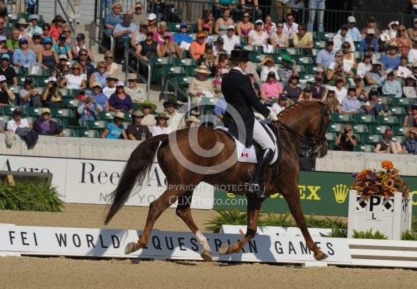 Alltech WEG Dressage, Ashely Holzer & Pop Art Ashley Holzer and Pop Art