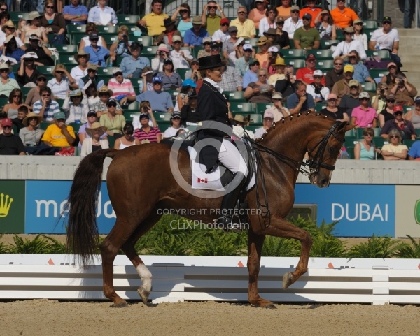 Alltech WEG Dressage, Ashely Holzer & Pop Art Ashley Holzer and Pop Art