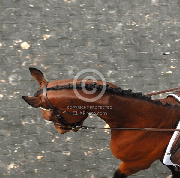 Button Braids on Mane