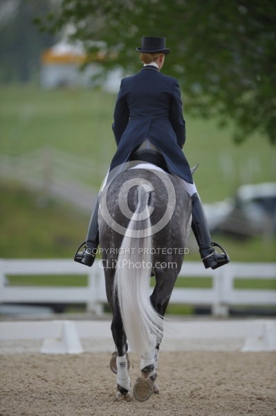 Dressage Dressage Warm Up