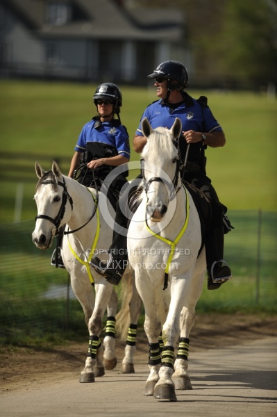 Reflective Wear on Horses