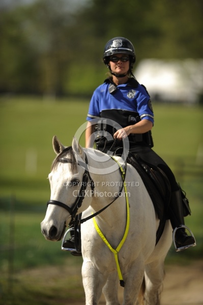Reflective Wear on Horses