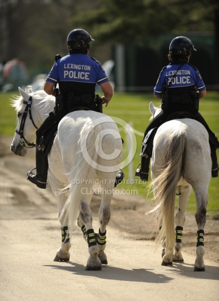 Reflective Wear on Horses
