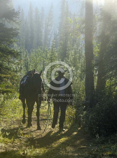 Leading in Western Tack