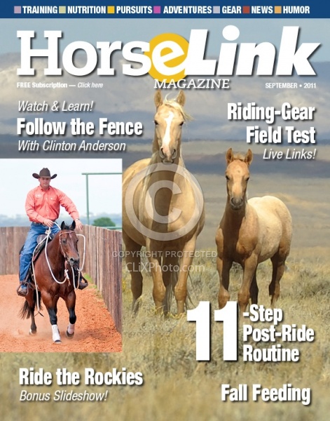 Horse Link Sept 2011