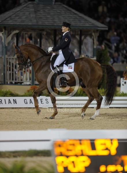 Ashley Holzer and Pop Art Weg 2010