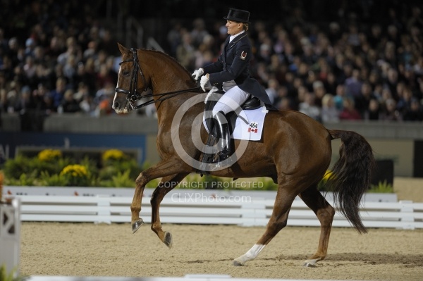 Ashley Holzer and Pop Art Weg 2010