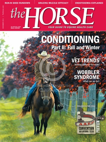 The Horse Nov 2011