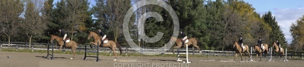 Hunter Jumper Schooling Grids