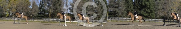 Hunter Jumper Schooling Grids