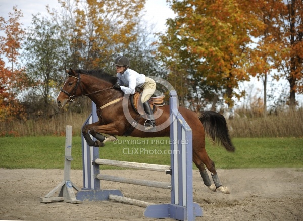 Schooling Over Fences