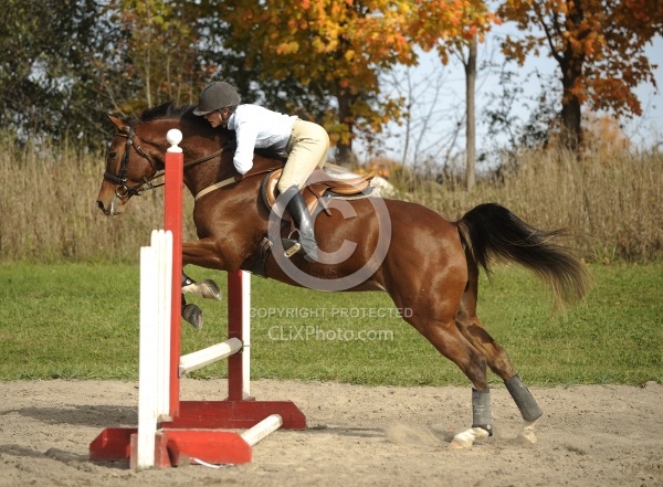 Schooling Over Fences