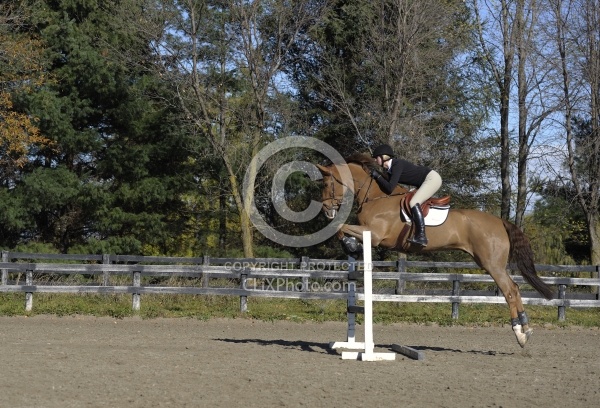 Schooling Over Fences