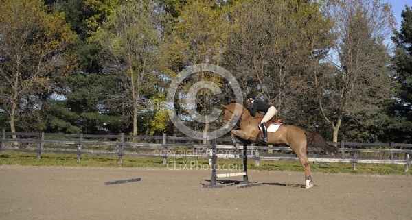 Schooling Over Fences