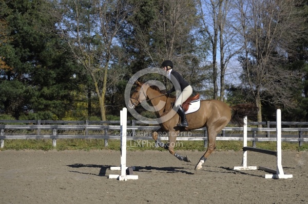 Schooling Over Fences