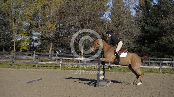Schooling Over Fences