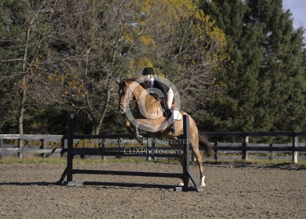 Schooling Over Fences
