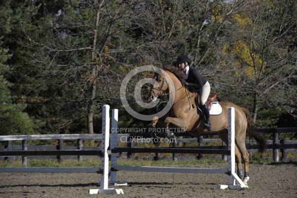 Schooling Over Fences