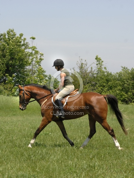 Schooling English on the Flat