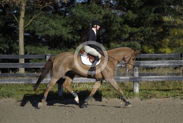 Schooling English on the Flat