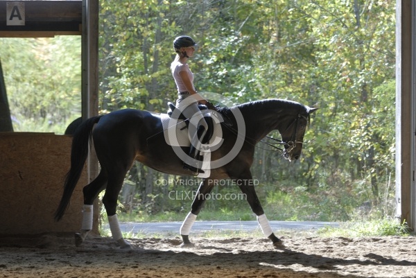 Dressage Schooling