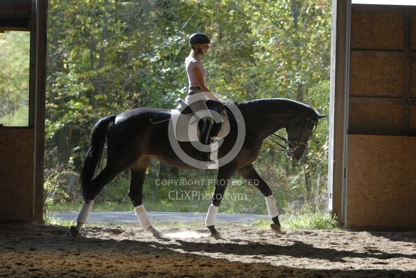 Dressage Schooling