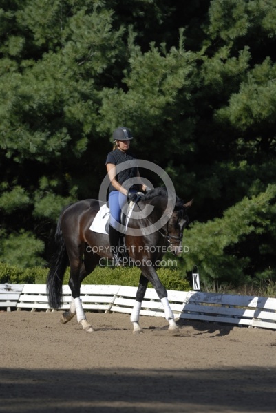 Dressage Schooling