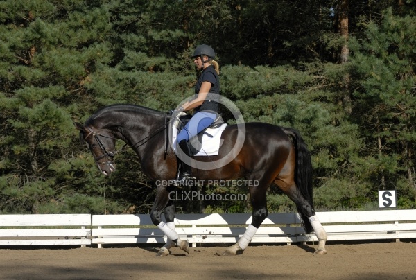 Dressage Schooling