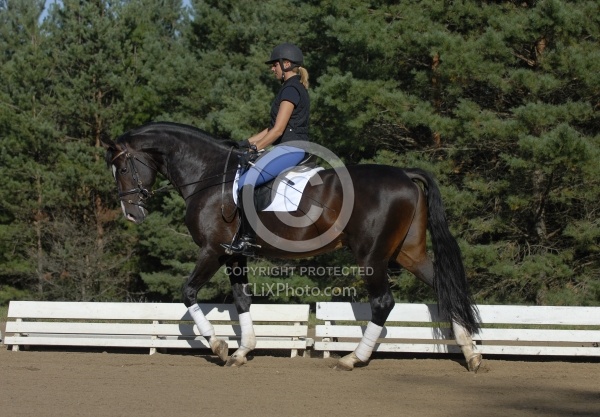 Oakrest Dressage Schooling
