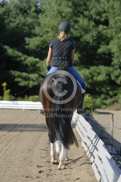 Dressage Schooling