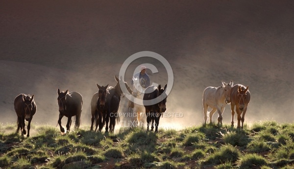 Crossing The Andes Bringing in the Mules
