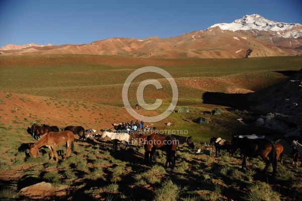 Camping in the Andes