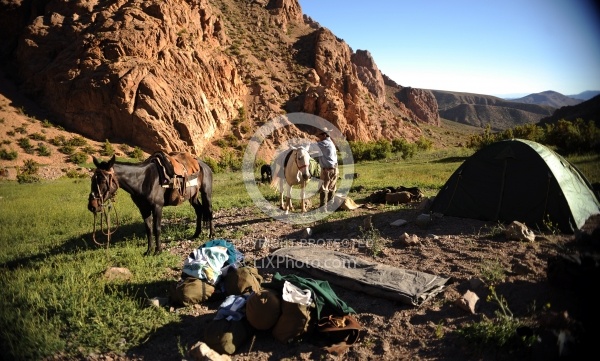  Camping in the Andes