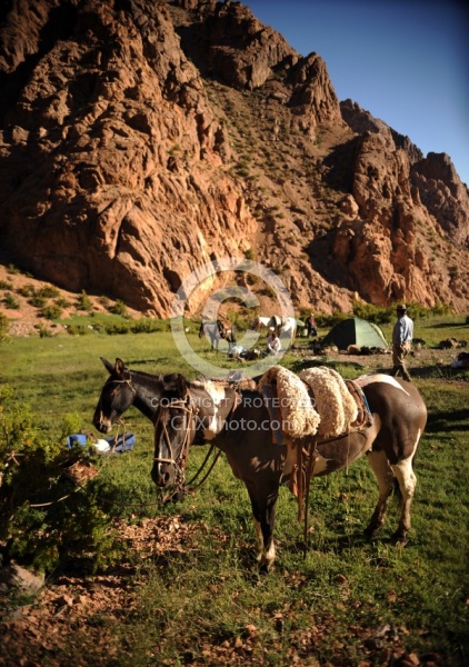 Camping in the Andes