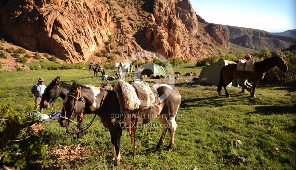 Camping in the Andes