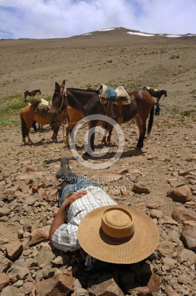 Crossing The Andes Gauchos