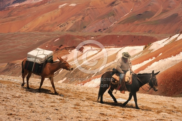 Crossing The Andes Gauchos