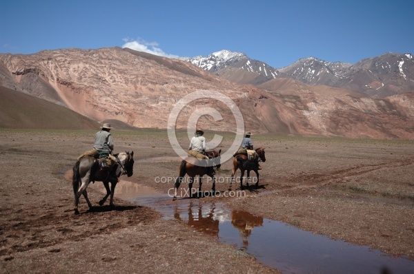 River Crossing on the Crossing of the Andes Ride