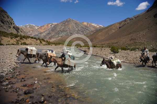River Crossing on the Crossing of the Andes Ride