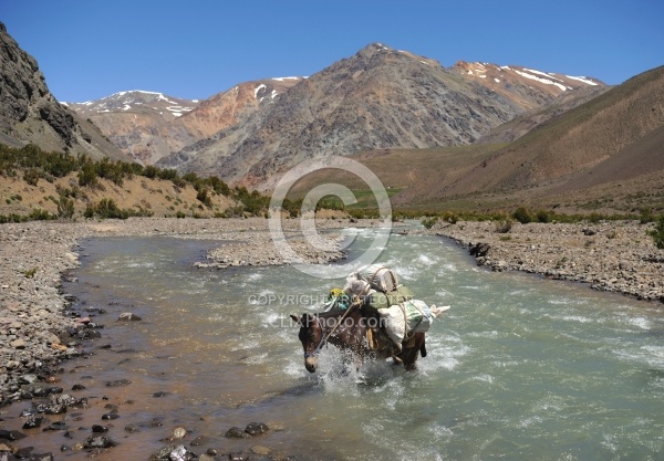 River Crossing on the Crossing of the Andes Ride