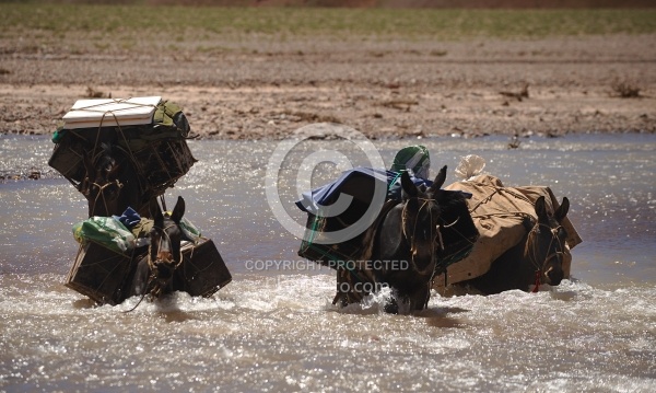  Crossing of the Andes Ride River Crossing