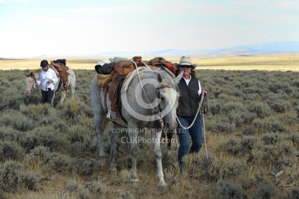 The Ride To the Wild horses with Blue Sky Sage