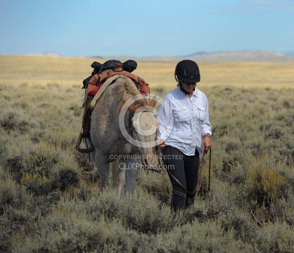 The Ride To the Wild horses with Blue Sky Sage