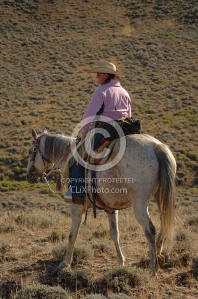 Bobbi Wade on The Ride To the Wild horses with Blue Sky Sage