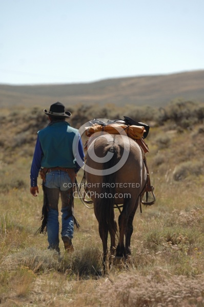 The Ride To the Wild horses with Blue Sky Sage