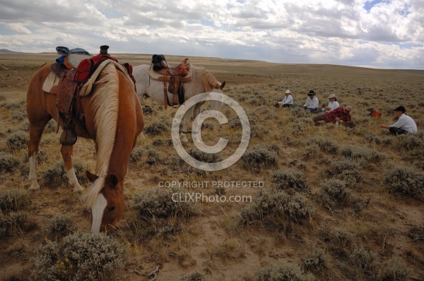 Lunch Stop with Blue Sky Sage Outfitters