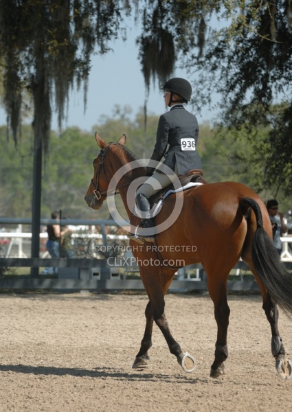 Hunter in Flat Class