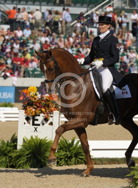 Ashley Holzer and Pop Art perform at the 2010 Alltech World Equestrian Games