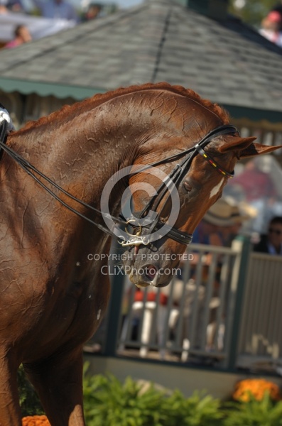 Isabell Werth and Warum  Nicht FRH WEG 2010